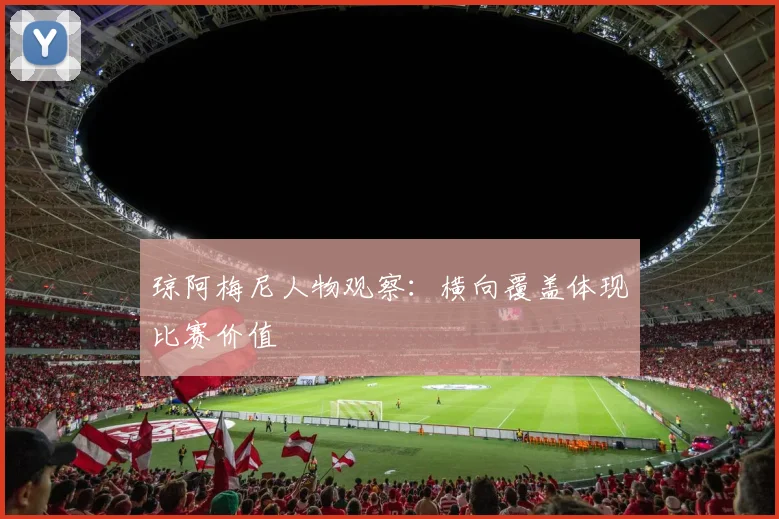 琼阿梅尼人物观察：横向覆盖体现比赛价值