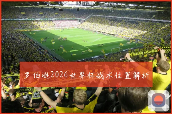 罗伯逊2026世界杯战术位置解析