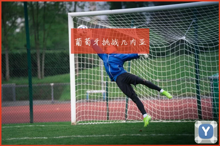 葡萄牙挑战几内亚