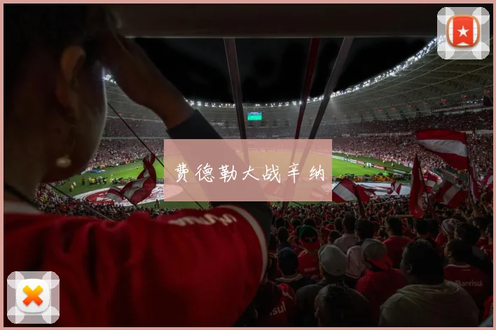 费德勒大战辛纳