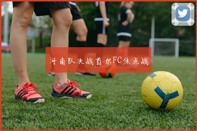河南队决战首尔FC焦点战