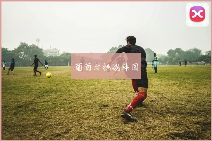 葡萄牙挑战韩国