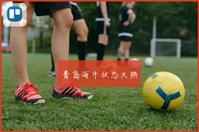 青岛海牛状态火热