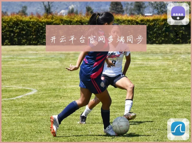 开云平台官网多端同步