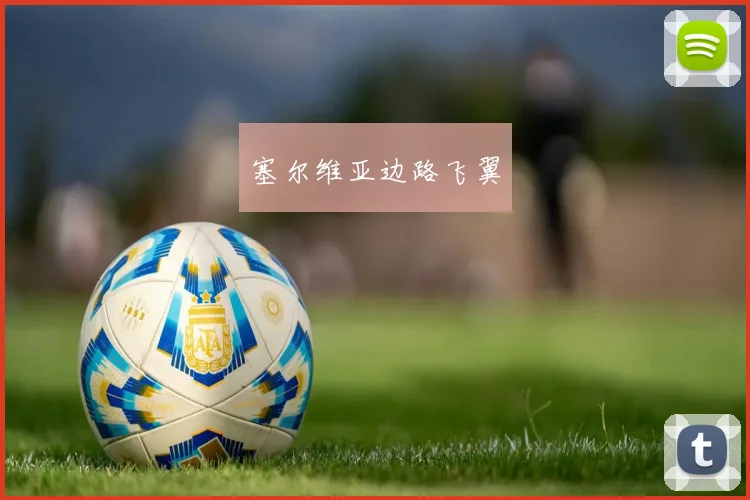 塞尔维亚边路飞翼