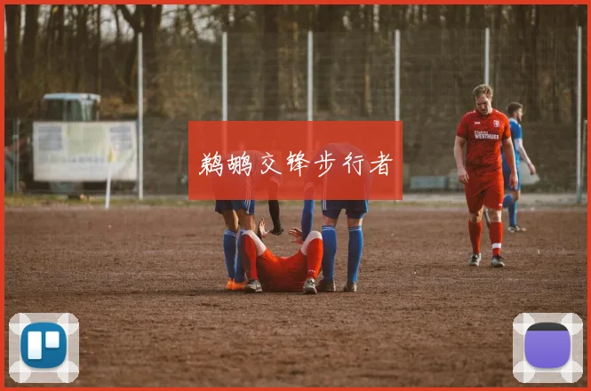 鹈鹕交锋步行者