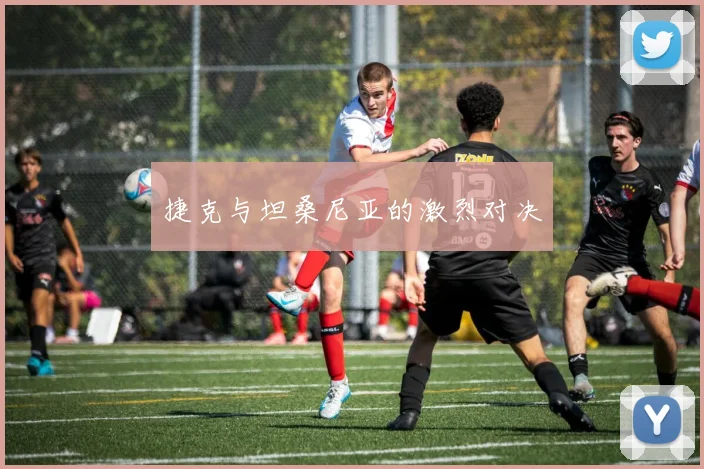 捷克与坦桑尼亚的激烈对决