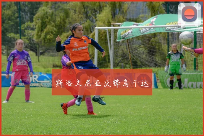 斯洛文尼亚交锋乌干达