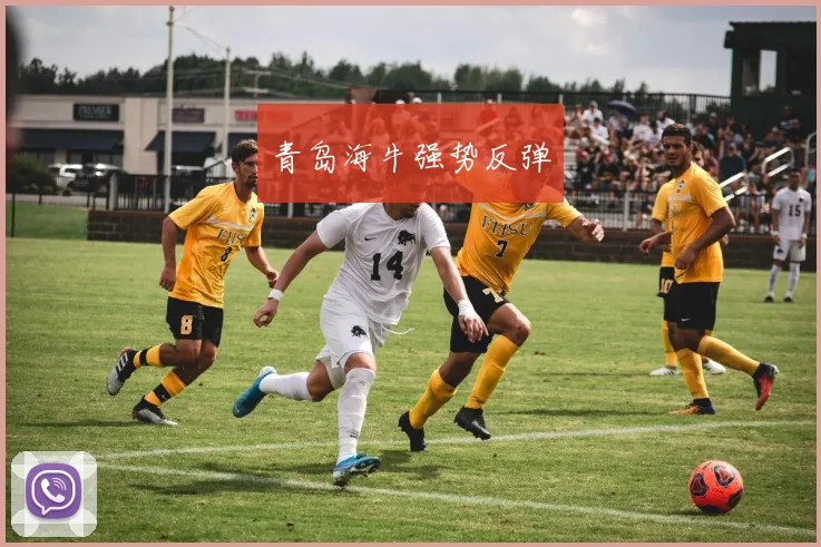 青岛海牛强势反弹
