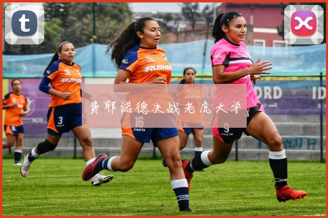 费耶诺德决战老虎大学
