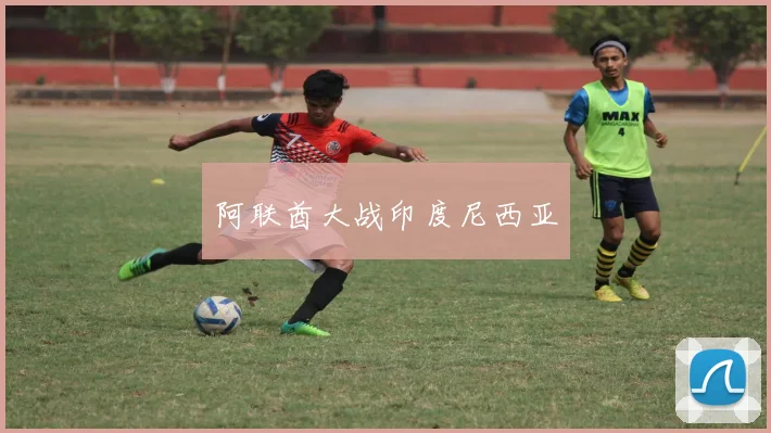 阿联酋大战印度尼西亚