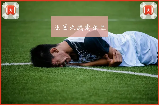 法国大战爱尔兰
