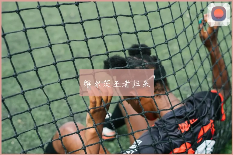维尔茨王者归来