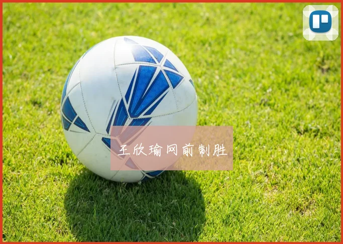 王欣瑜网前制胜