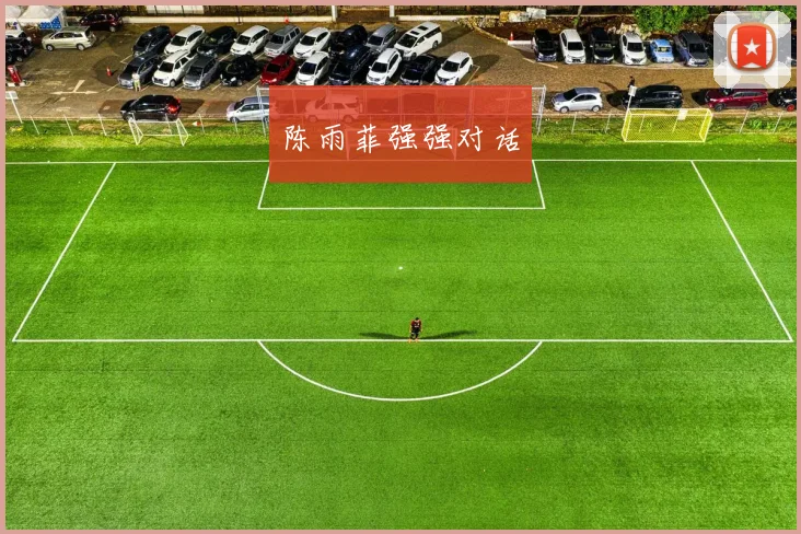 陈雨菲强强对话