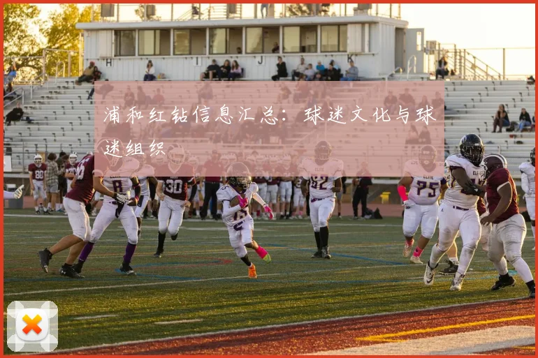 浦和红钻信息汇总：球迷文化与球迷组织