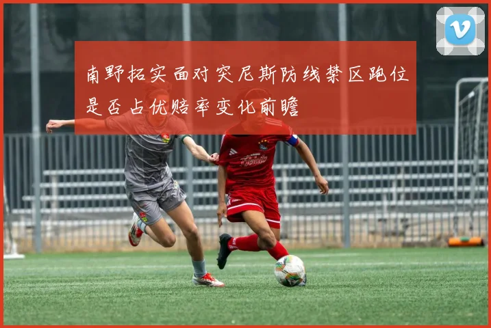南野拓实面对突尼斯防线禁区跑位是否占优赔率变化前瞻