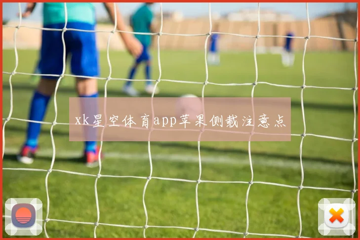 xk星空体育app苹果侧载注意点
